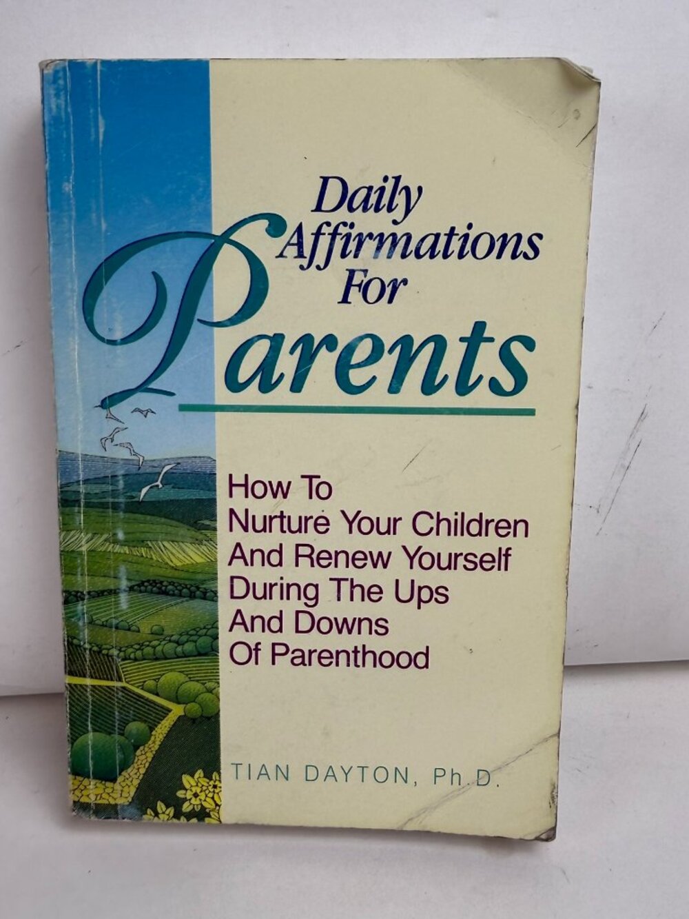 Daily Affirmations For Parents Tian Dayton PhD Book ISBN 1-55874-151-8 Paperback